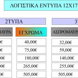 ΛΟΓΙΣΤΙΚΑ ΕΝΤΥΠΑ WB/COLOR 12x17